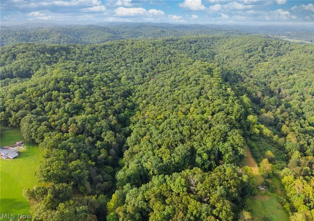 Photo 50 of Land for sale at 0 Rt 50 O 1 & 2 (yeager Run), Greenwood, WV 26415 | MLS# 5244529 | Listing updated on 2026-09-13