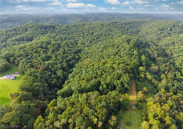 Photo 4 of Land for sale at 0 Rt 50 O 1 & 2 (yeager Run), Greenwood, WV 26415 | MLS# 5244529 | Listing updated on 2026-09-13