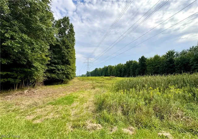 Photo 4 of Land for sale at Oyster Rd, North Benton, OH 44449 | MLS# 5244887 | Listing updated on 2026-09-15