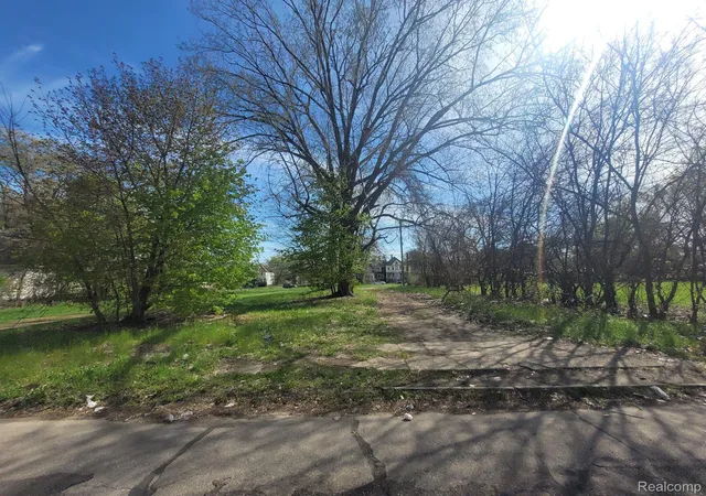 Photo 4 of Land for sale at 3432 Beals St, Detroit, MI 48214 | MLS# 20240026515 | Listing updated on 2026-09-04