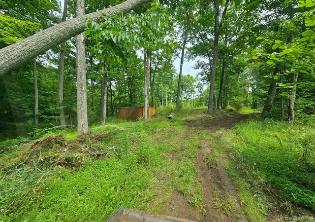 Photo 3 of Land for sale at 8600 Eagle Rd, Davisburg, MI 48350 | MLS# 20251029195 | Listing updated on 2026-09-02