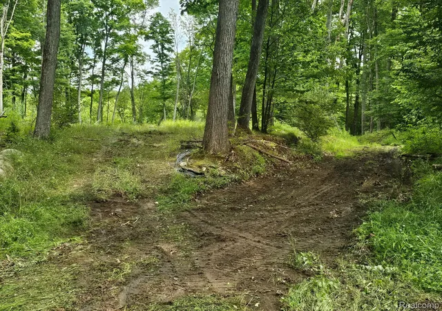 Photo 3 of Land for sale at 8600 Eagle Rd, Davisburg, MI 48350 | MLS# 20251029195 | Listing updated on 2026-09-02