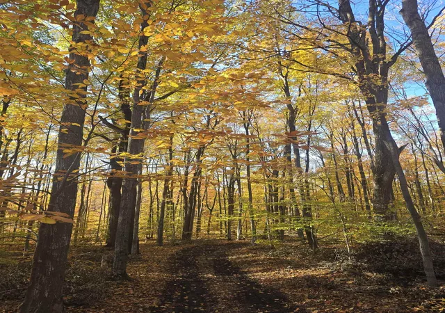 Photo 1 of Land for sale at 00 Stark Rd, Mancelona, MI 49659 | MLS# 78080064214 | Listing updated on 2026-09-14