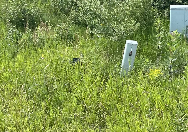 Photo 4 of Land for sale at M 72, Williamsburg, MI 49690 | MLS# 78080064234 | Listing updated on 2026-09-07