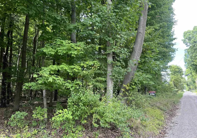 Photo 2 of Land for sale at 0 Burton Rd, Mussey Township St Clair, MI 48014 | MLS# 58050201728 | Listing updated on 2026-09-01
