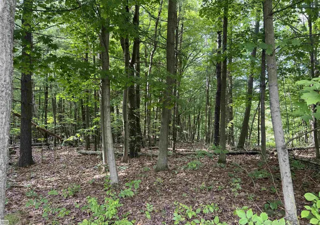 Photo 3 of Land for sale at 0 Burton Rd, Mussey Township St Clair, MI 48014 | MLS# 58050201728 | Listing updated on 2026-09-01