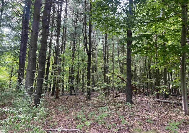 Photo 3 of Land for sale at 0 Burton Rd, Mussey Township St Clair, MI 48014 | MLS# 58050201728 | Listing updated on 2026-09-01