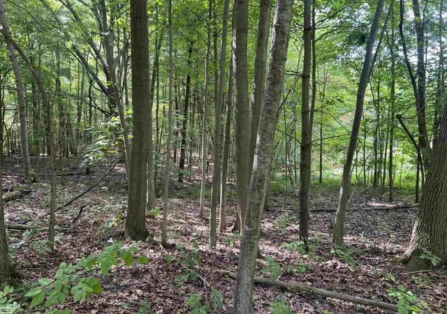 Photo 4 of Land for sale at 0 Burton Rd, Mussey Township St Clair, MI 48014 | MLS# 58050201728 | Listing updated on 2026-09-01