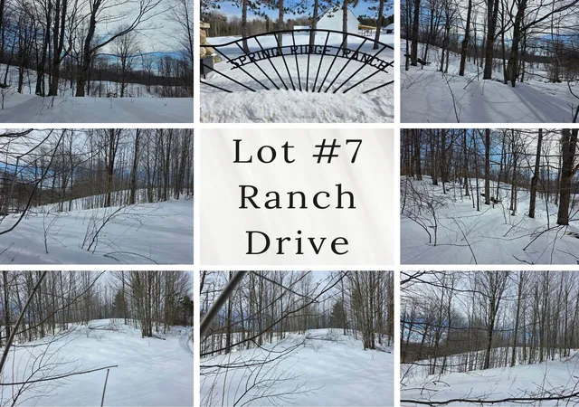 Photo 2 of Land for sale at Vl Ranch Dr, Bellaire, MI 49615 | MLS# 78080066516 | Listing updated on 2026-09-02