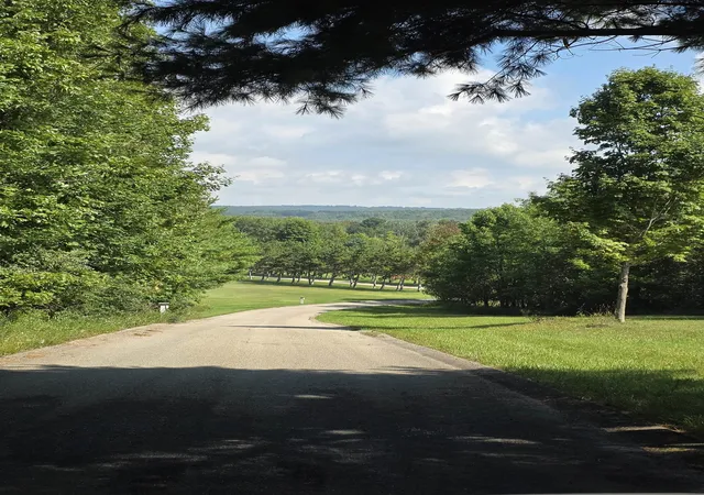 Photo 3 of Land for sale at Vl Ranch Dr, Bellaire, MI 49615 | MLS# 78080066516 | Listing updated on 2026-09-02