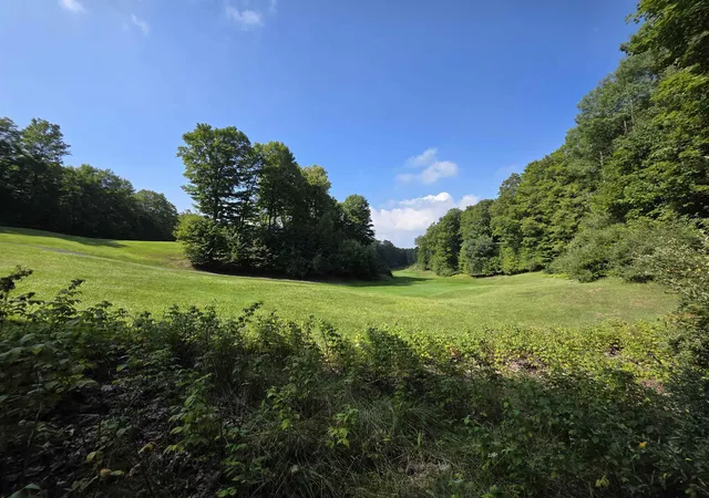 Photo 3 of Land for sale at Vl Ranch Dr, Bellaire, MI 49615 | MLS# 78080066516 | Listing updated on 2026-09-02