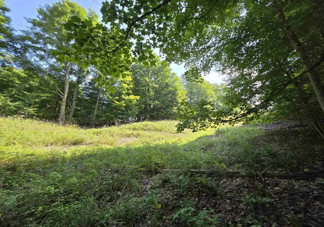Photo 4 of Land for sale at Vl Ranch Dr, Bellaire, MI 49615 | MLS# 78080066516 | Listing updated on 2026-09-02