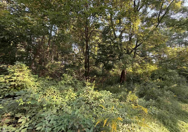 Photo 2 of Land for sale at 0 Woodland Ln, East China, MI 48054 | MLS# 58050204072 | Listing updated on 2026-09-04