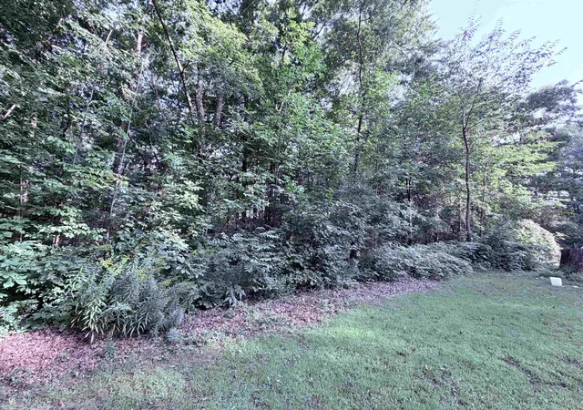 Photo 4 of Land for sale at 0 Woodland Ln, East China, MI 48054 | MLS# 58050204072 | Listing updated on 2026-09-04
