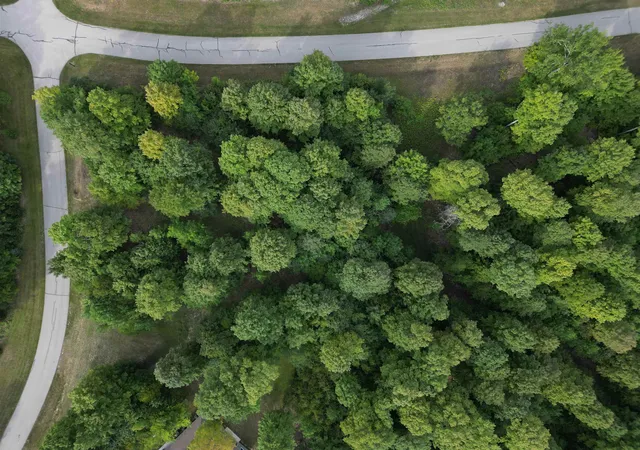 Photo 2 of Land for sale at 11 W Timber View Trl, Empire Township Leelanau, MI 49630 | MLS# 78080067414 | Listing updated on 2026-09-03