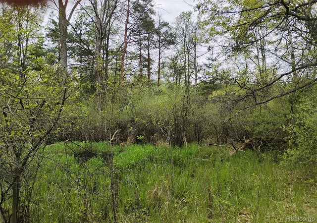 Photo 1 of Land for sale at 000 Middle Parcel C Middle Rd, Highland, MI 48357 | MLS# 20261033109 | Listing updated on 2026-09-09