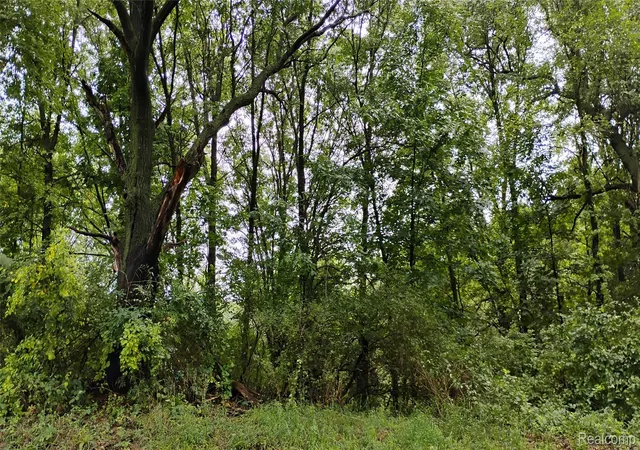 Photo 1 of Land for sale at 000 Middle Parcel D Middle Rd, Highland Charter Township Oakland, MI 48357 | MLS# 20261033121 | Listing updated on 2026-09-09