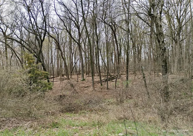 Photo 12 of Land for sale at 000 Middle Parcel D Middle Rd, Highland Charter Township Oakland, MI 48357 | MLS# 20261033121 | Listing updated on 2026-09-09