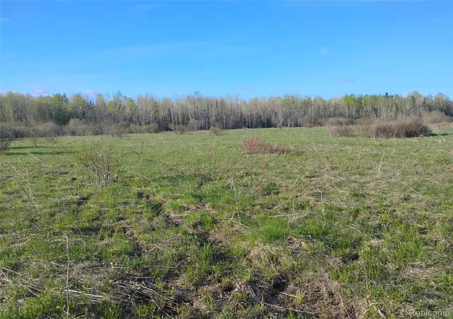 Photo 2 of Land for sale at 0 19 Mile Rd, Rudyard, MI 49780 | MLS# 20261038230 | Listing updated on 2026-10-02