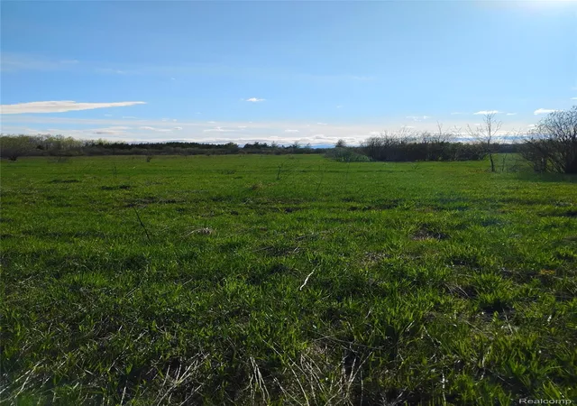 Photo 3 of Land for sale at 0 19 Mile Rd, Rudyard, MI 49780 | MLS# 20261038230 | Listing updated on 2026-10-02