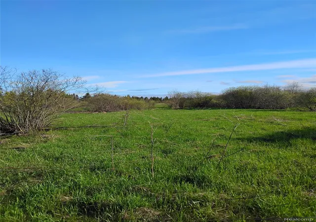 Photo 3 of Land for sale at 0 19 Mile Rd, Rudyard, MI 49780 | MLS# 20261038230 | Listing updated on 2026-10-02