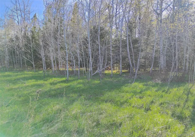 Photo 4 of Land for sale at 0 19 Mile Rd, Rudyard, MI 49780 | MLS# 20261038230 | Listing updated on 2026-10-02