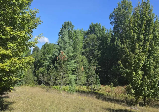 Photo 4 of Land for sale at 6320 N Morey Rd, Lake City, MI 49651 | MLS# 78080070867 | Listing updated on 2026-09-07