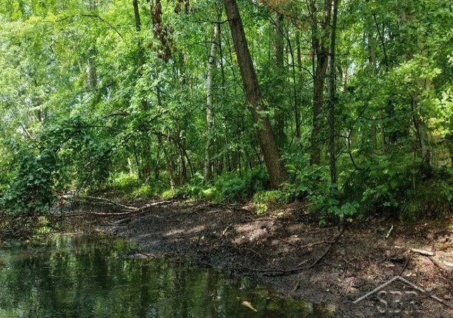Photo 3 of Land for sale at 7967 Manitonka Ln, Sherman Township Isabella, MI 48632 | MLS# 61050214889 | Listing updated on 2026-09-03