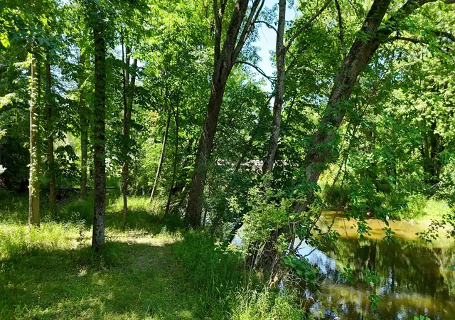 Photo 40 of Single family home for sale at 429 S Geneva Rd, Shepherd, MI 48883 | MLS# 79080071971 | Listing updated on 2026-09-11