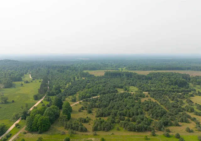 Photo 4 of Land for sale at Getaway Trl, Hanover Township Wexford, MI 49649 | MLS# 78080072229 | Listing updated on 2026-09-04