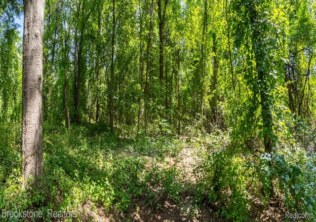 Photo 4 of Land for sale at 00 Allen Rd, Clarkston, MI 48348 | MLS# 20261065871 | Listing updated on 2026-09-09
