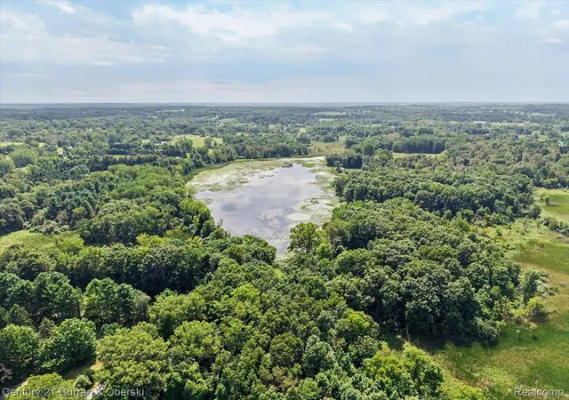 Photo 3 of Land for sale at 600 Adrian St, Manchester, MI 48158 | MLS# 20261065919 | Listing updated on 2026-09-03