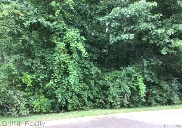 Land for sale at 4473 Oak Pointe Dr, Brighton, MI 48116 | MLS# 20261068373