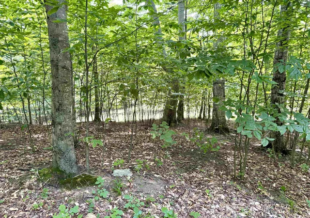 Land for sale at 15 S Mistys Trl, EmpireTownship_Leelanau, MI 49630 | MLS# 78080072951