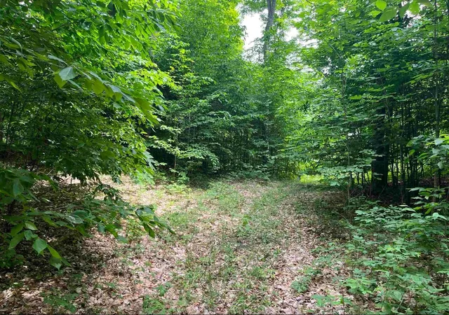Photo 2 of Land for sale at 15 S Mistys Trl, Empire Township Leelanau, MI 49630 | MLS# 78080072951 | Listing updated on 2026-09-03
