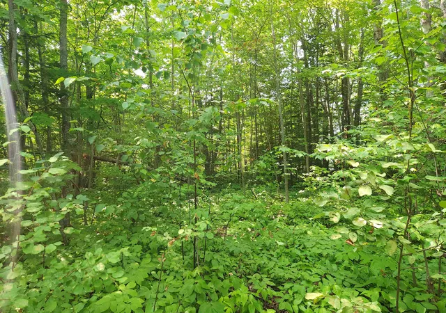 Photo 3 of Land for sale at 00 W Us-23, Beaugrand Township Cheboygan, MI 49721 | MLS# 78080072988 | Listing updated on 2026-08-31