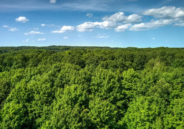 Photo 4 of Land for sale at V/L E Center Rd, Paradise Township Grand Traverse, MI 49649 | MLS# 78080073008 | Listing updated on 2026-09-04