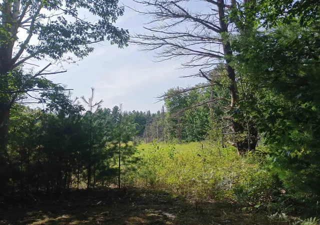 Photo 3 of Land for sale at V/L Wallaker Rd, Joyfield Township Benzie, MI 49617 | MLS# 78080073029 | Listing updated on 2026-09-01