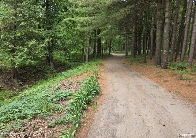 Photo 4 of Single family home for sale at 1293 Bellinger Rd, Gladwin, MI 48624 | MLS# 20261069517 | Listing updated on 2026-09-14