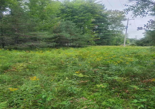 Land for sale at 00 M-55, RenoTownship_Iosco, MI 48770 | MLS# 77080073040