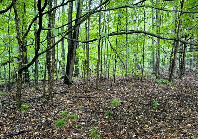 Photo 3 of Land for sale at Lots 331-332 Edelweiss Dr, Bellaire, MI 49615 | MLS# 78080073058 | Listing updated on 2026-09-03