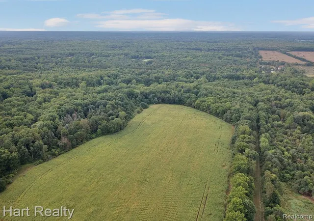 Photo 3 of Land for sale at 3373 June Rd, Columbiaville, MI 48421 | MLS# 20261069975 | Listing updated on 2026-09-10