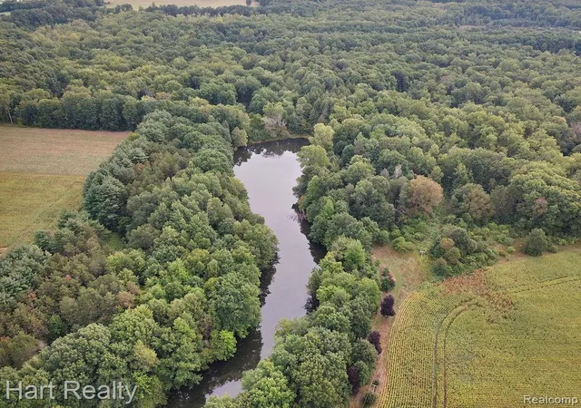 Photo 4 of Land for sale at 3373 June Rd, Columbiaville, MI 48421 | MLS# 20261069975 | Listing updated on 2026-09-10