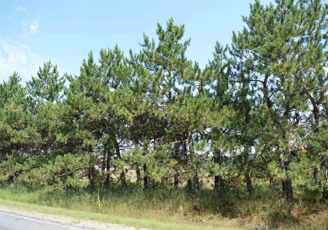 Land for sale at Coster Rd, Fife Lake, MI 49633 | MLS# 78080073069
