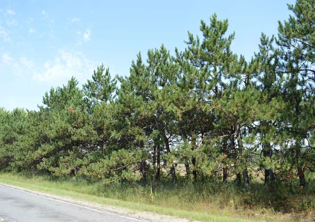 Photo 2 of Land for sale at Coster Rd, Fife Lake, MI 49633 | MLS# 78080073069 | Listing updated on 2026-09-03
