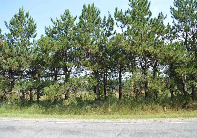 Photo 3 of Land for sale at Coster Rd, Fife Lake, MI 49633 | MLS# 78080073069 | Listing updated on 2026-09-03