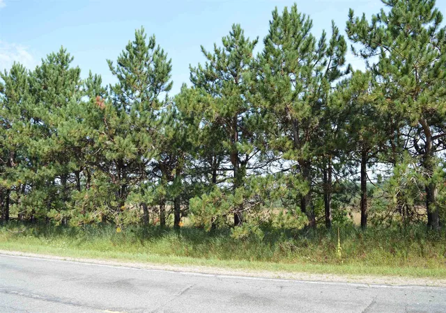 Photo 3 of Land for sale at Coster Rd, Fife Lake, MI 49633 | MLS# 78080073069 | Listing updated on 2026-09-03