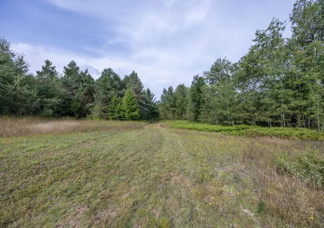 Photo 1 of Land for sale at 0 S 27 Road, Cadillac, MI 49601 | MLS# 78080073074 | Listing updated on 2026-09-18