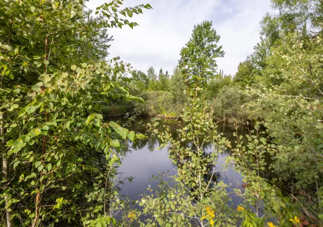 Photo 3 of Land for sale at 0 S 27 Road, Cadillac, MI 49601 | MLS# 78080073074 | Listing updated on 2026-09-18