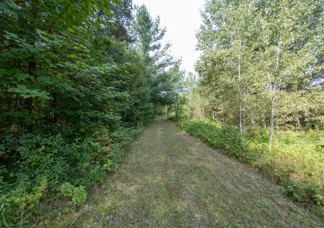 Photo 4 of Land for sale at 0 S 27 Road, Cadillac, MI 49601 | MLS# 78080073074 | Listing updated on 2026-09-18